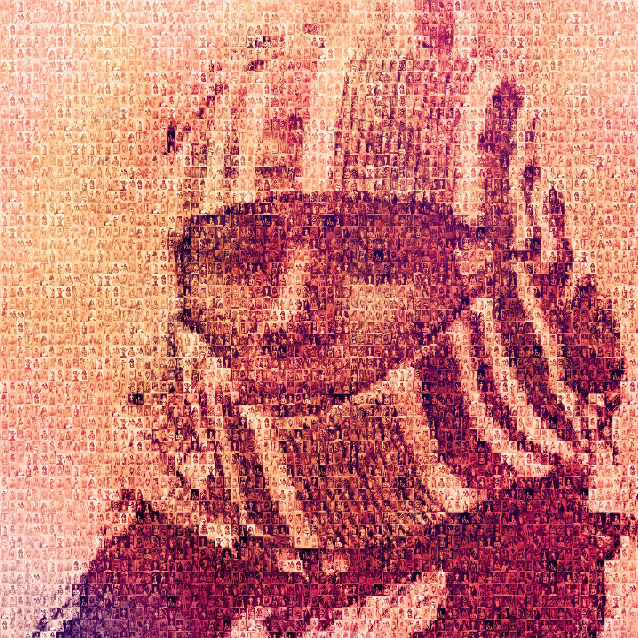 - Portrait d'une Mauresque résistante