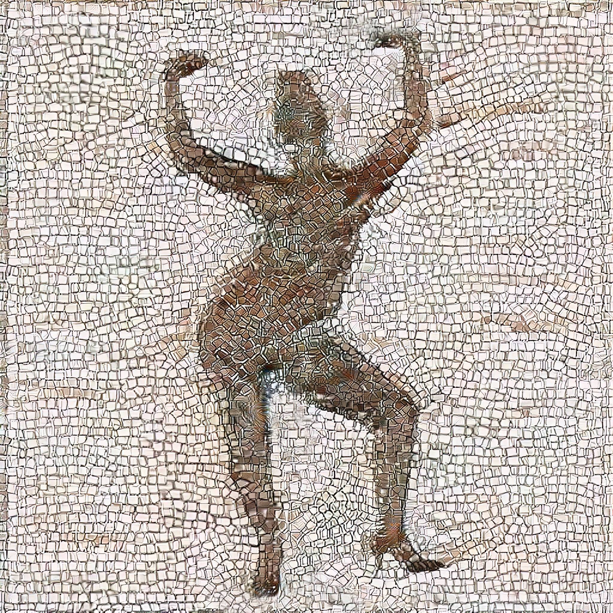 Zelij - SuperOum - C25